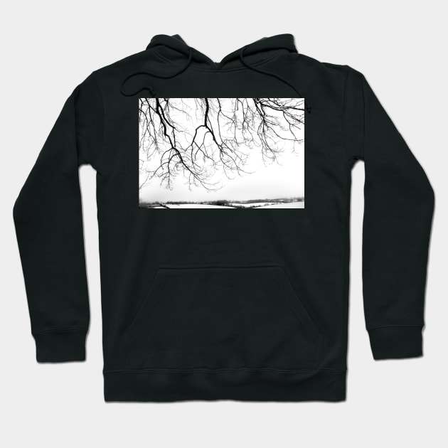 Snow blanket landscape Hoodie by heidiannemorris